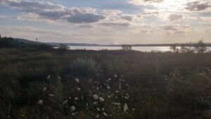 Областният управител на Варна нареди освобождаване на имот край езерото