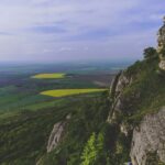 Полицията в Каолиново разследва сигнал за купуване на гласове