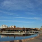 Турските власти прибраха над 631 хиляди бездомни животни през 2026 г.